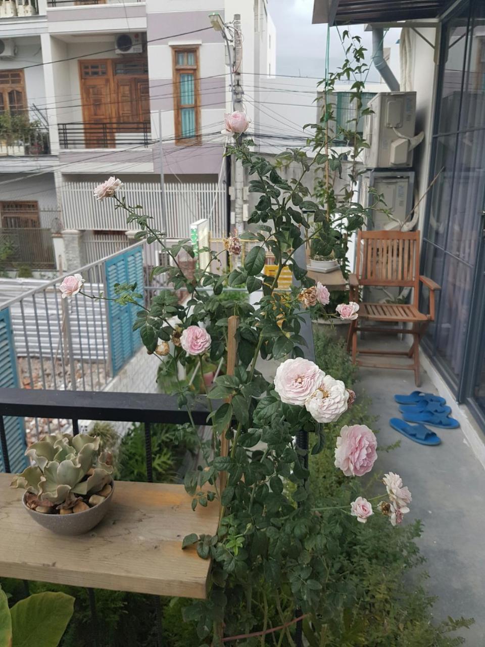 La La House Homestay Нячанг Экстерьер фото