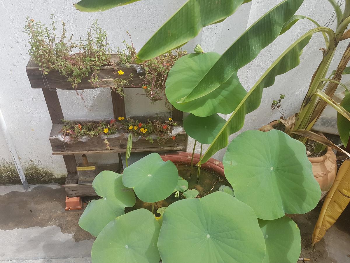 La La House Homestay Нячанг Экстерьер фото